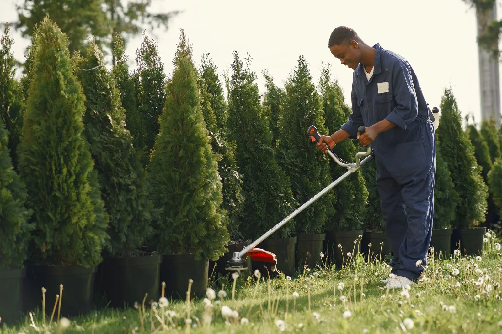 Landscaper maintaining a residential garden